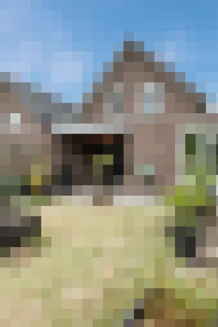 Wilhelminalaan 5 a Reuver thumbnail 43