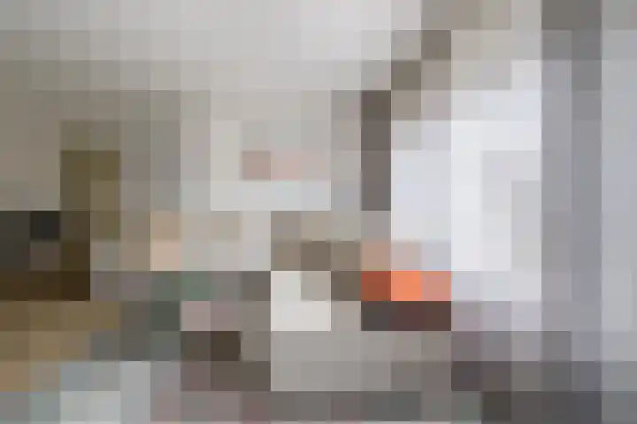 Wilhelminalaan 5 a Reuver thumbnail 6