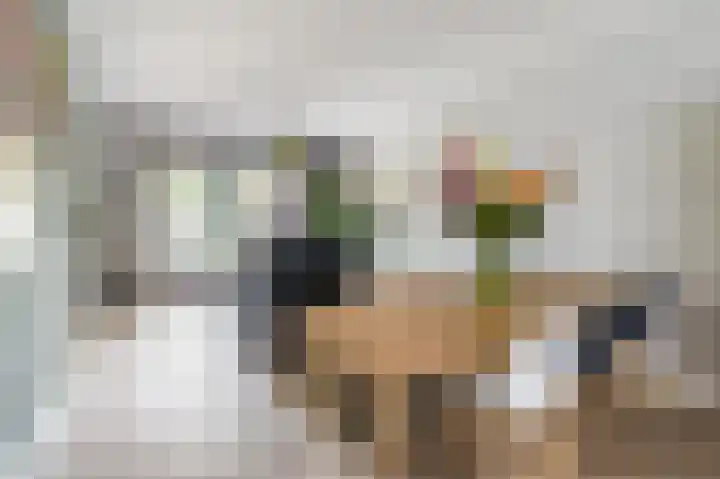 Wilhelminalaan 5 a Reuver thumbnail 8