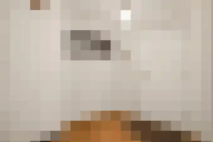 Wilhelminalaan 5 h Son en Breugel thumbnail 10