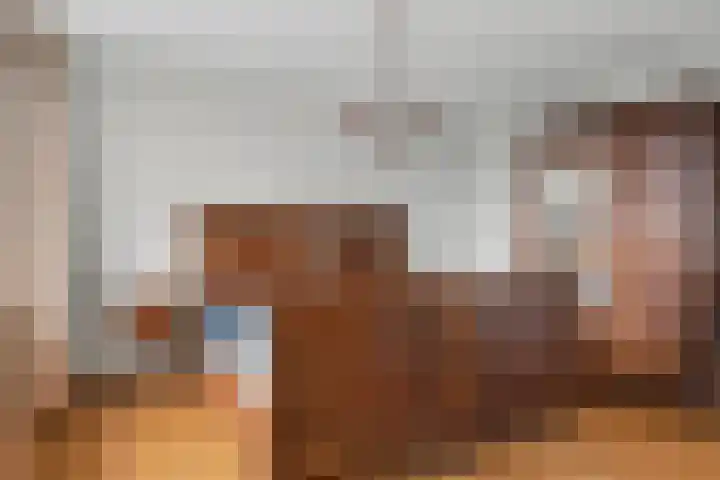 Wilhelminalaan 5 h Son en Breugel thumbnail 13