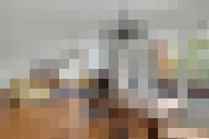 Wilhelminalaan 5 h Son en Breugel thumbnail 25