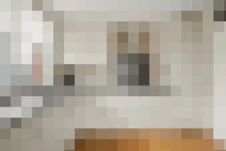 Wilhelminalaan 5 h Son en Breugel thumbnail 27