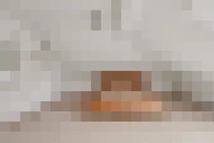 Wilhelminalaan 5 h Son en Breugel thumbnail 37