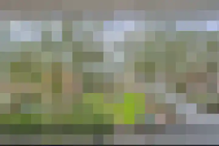 Wilhelminalaan 5 h Son en Breugel thumbnail 38
