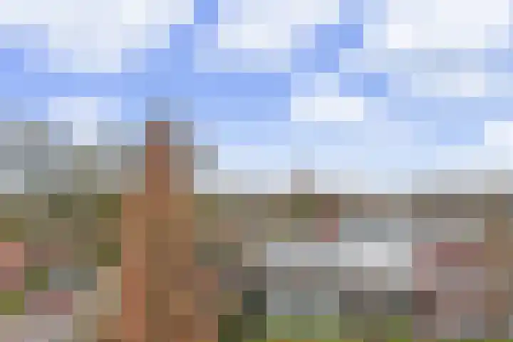 Wilhelminalaan 5 h Son en Breugel thumbnail 39