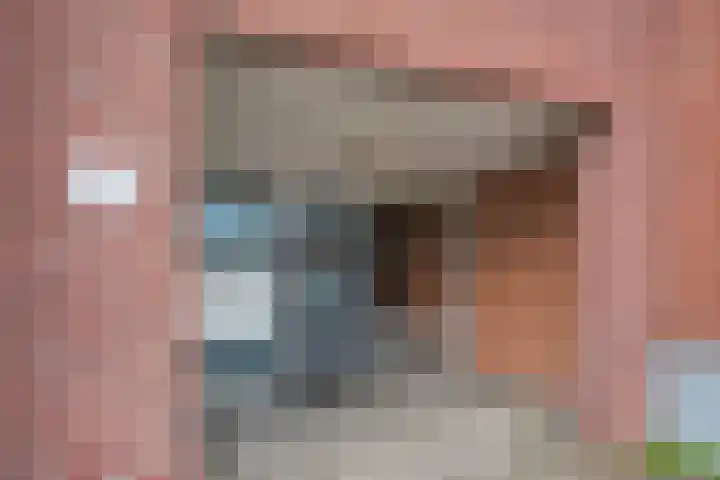 Wilhelminalaan 5 h Son en Breugel thumbnail 6