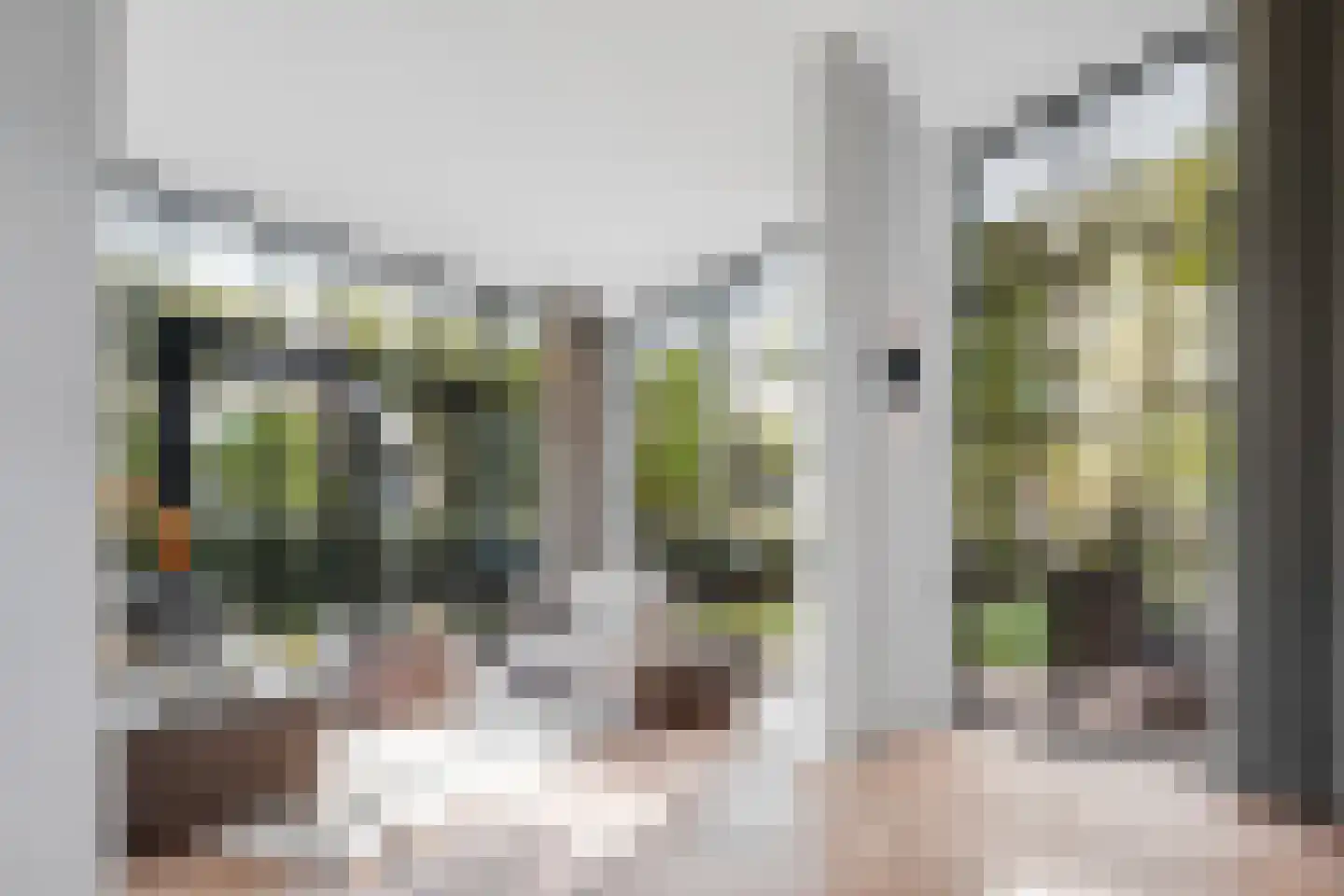 Wilhelminalaan 5 Oisterwijk thumbnail 15