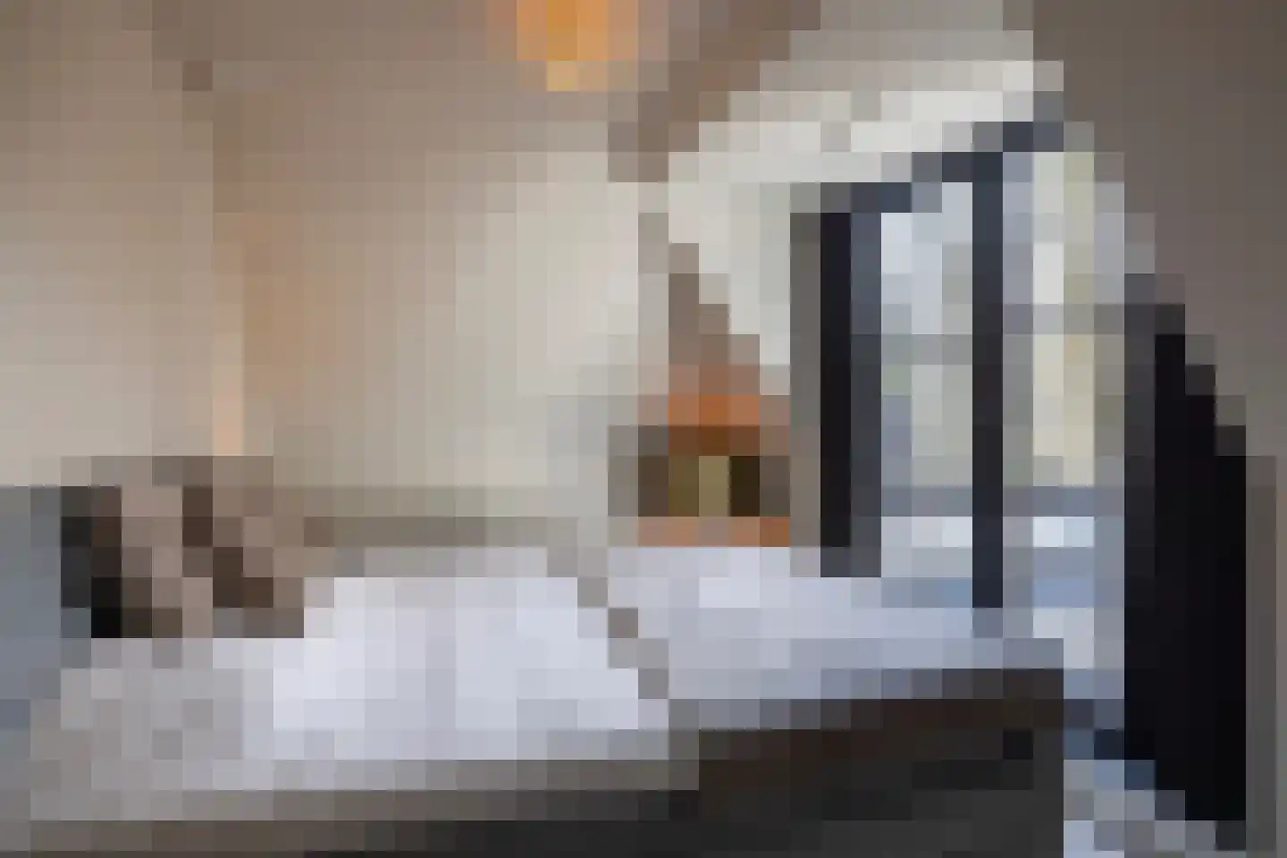 Wilhelminalaan 5 Oisterwijk thumbnail 22