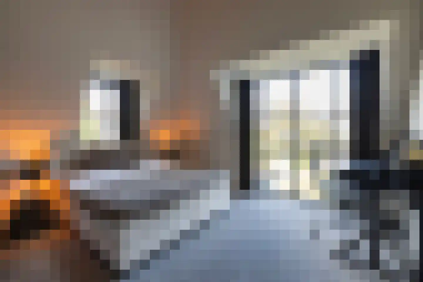 Wilhelminalaan 5 Oisterwijk thumbnail 23