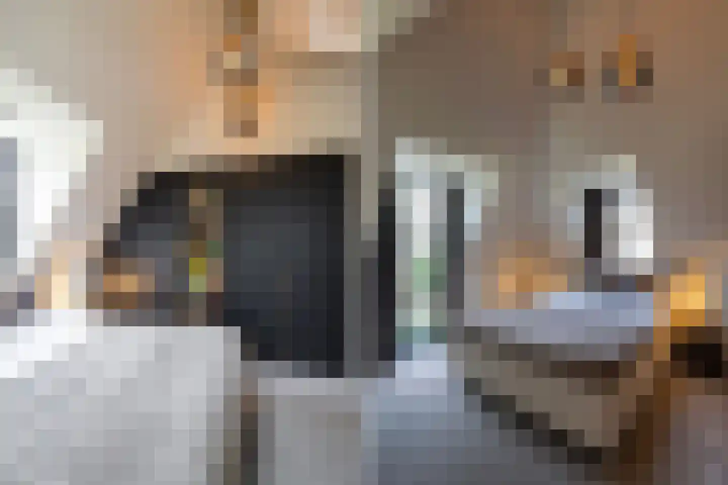 Wilhelminalaan 5 Oisterwijk thumbnail 27
