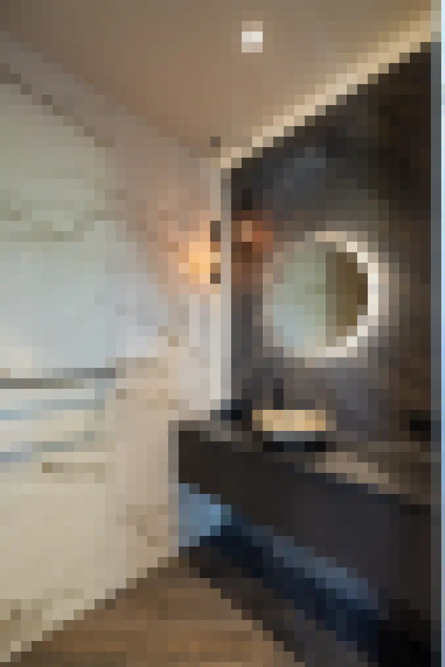 Wilhelminalaan 5 Oisterwijk thumbnail 31