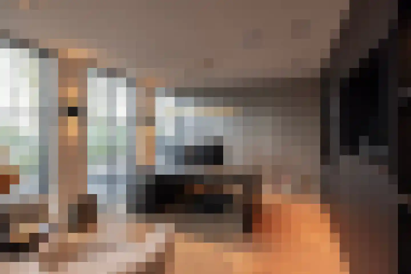 Wilhelminalaan 5 Oisterwijk thumbnail 32