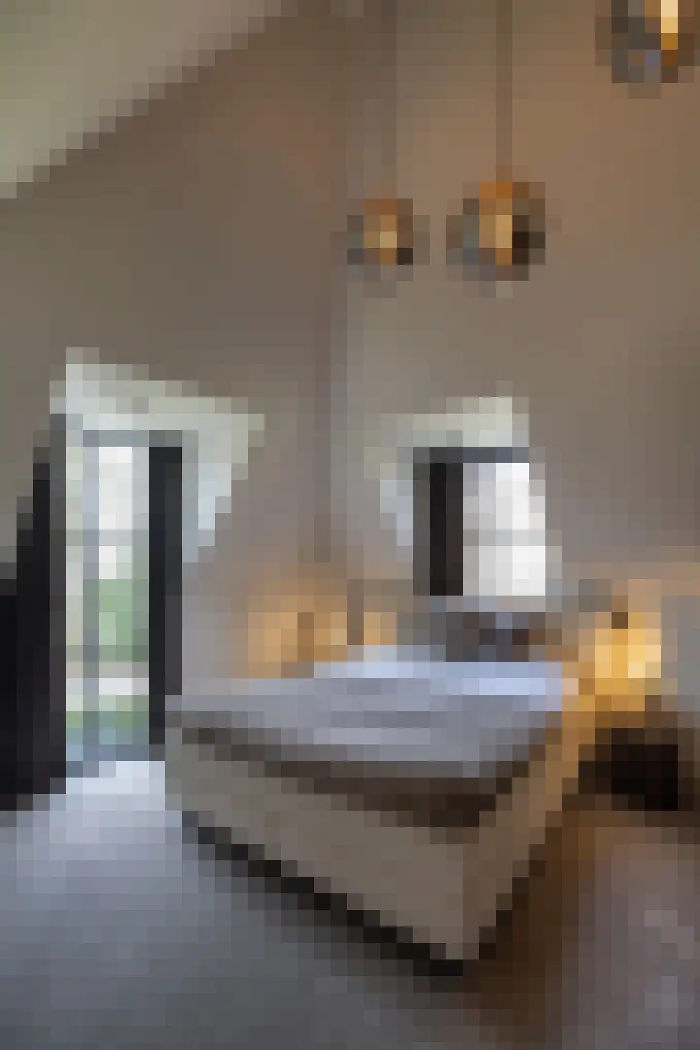 Wilhelminalaan 5 Oisterwijk thumbnail 32