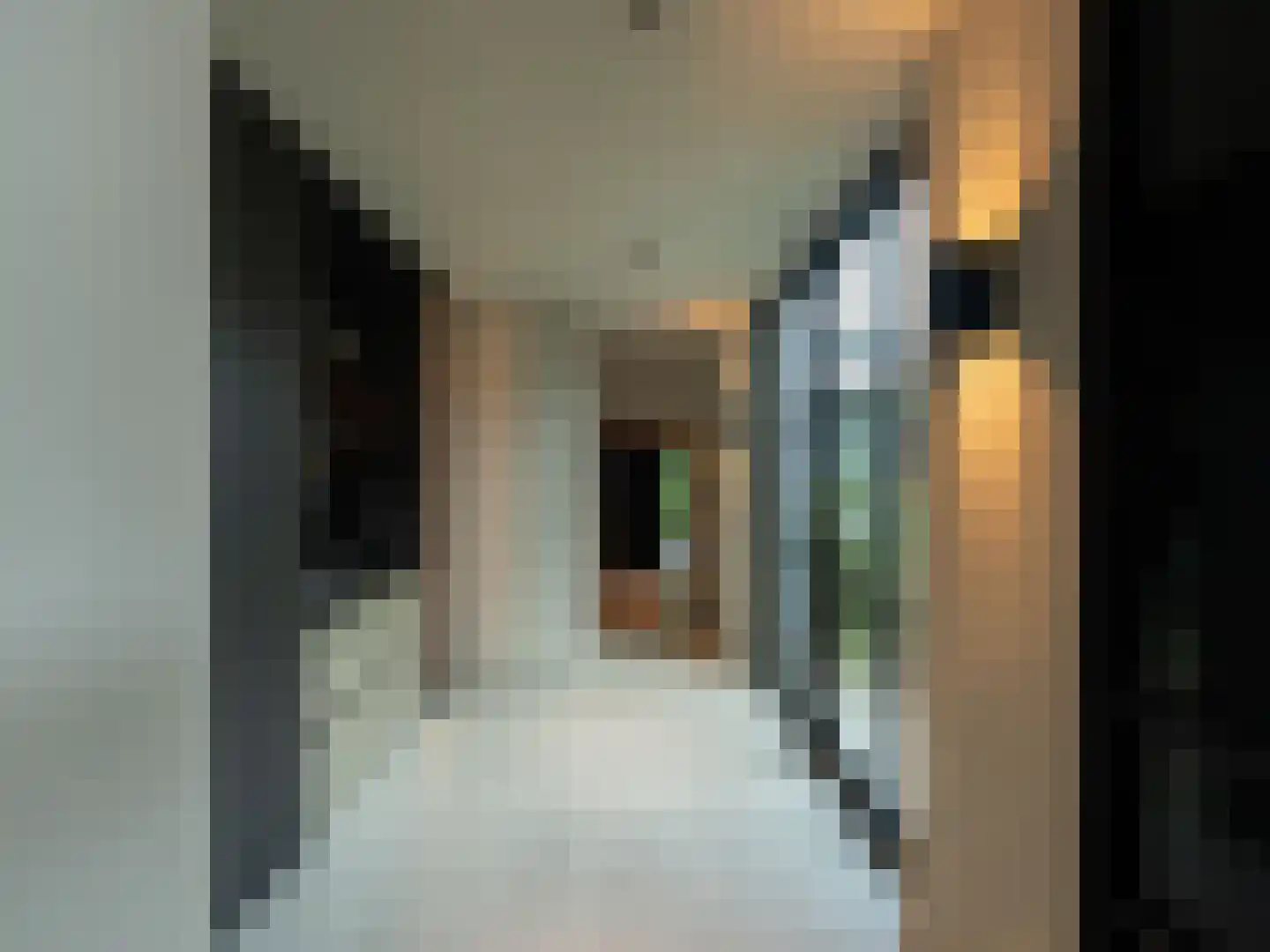 Wilhelminalaan 5 Oisterwijk thumbnail 37