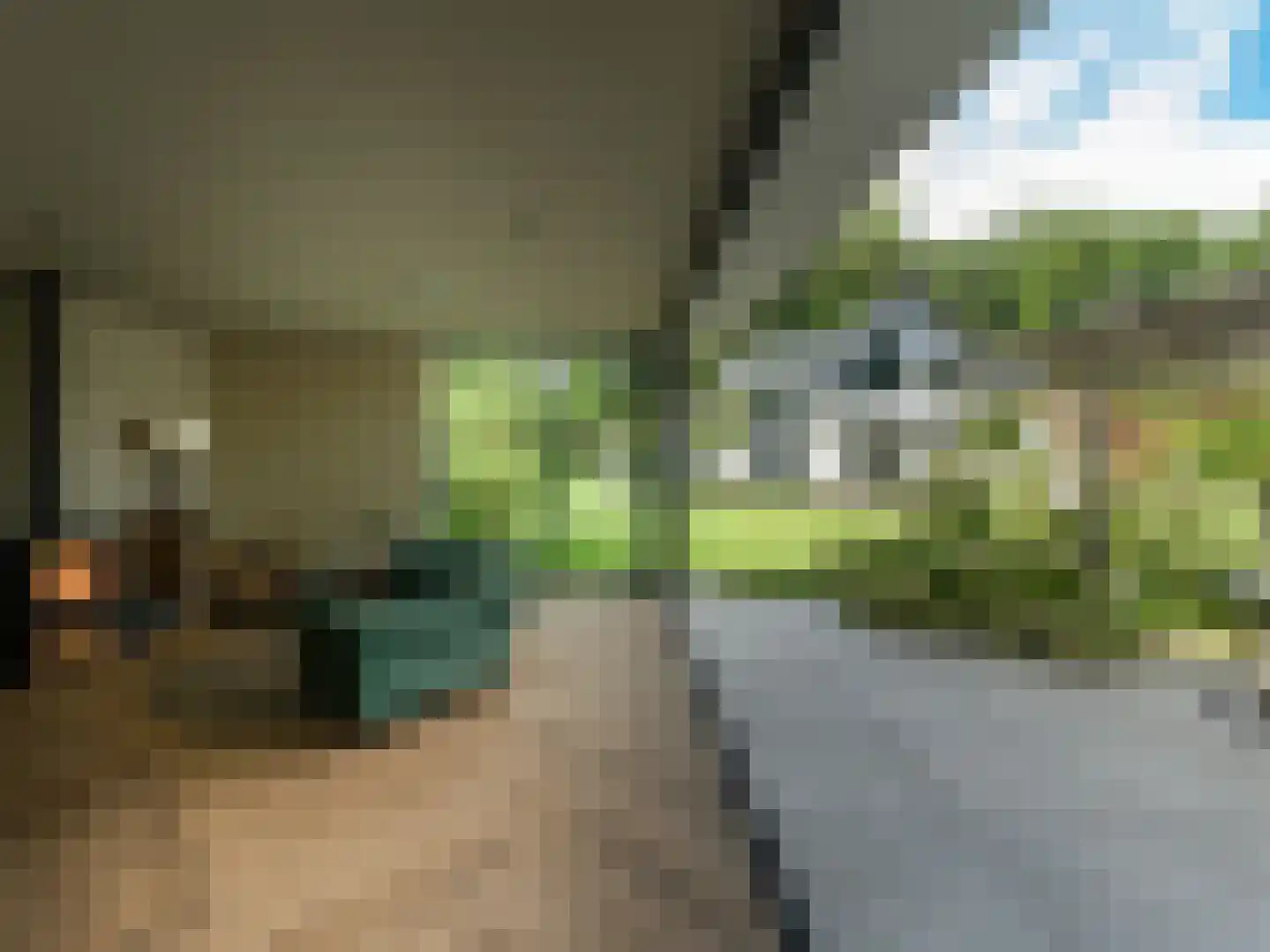 Wilhelminalaan 5 Oisterwijk thumbnail 43