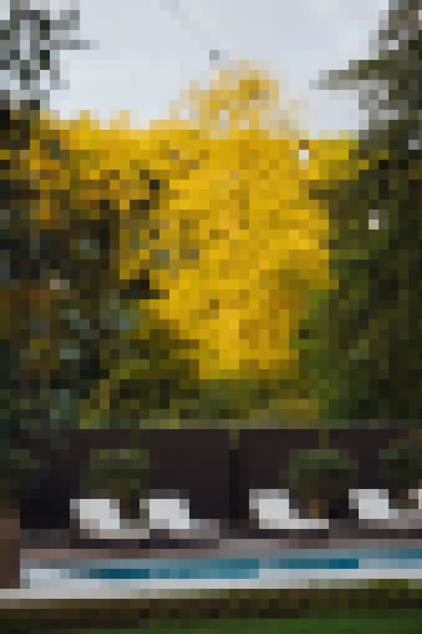 Wilhelminalaan 5 Oisterwijk thumbnail 53