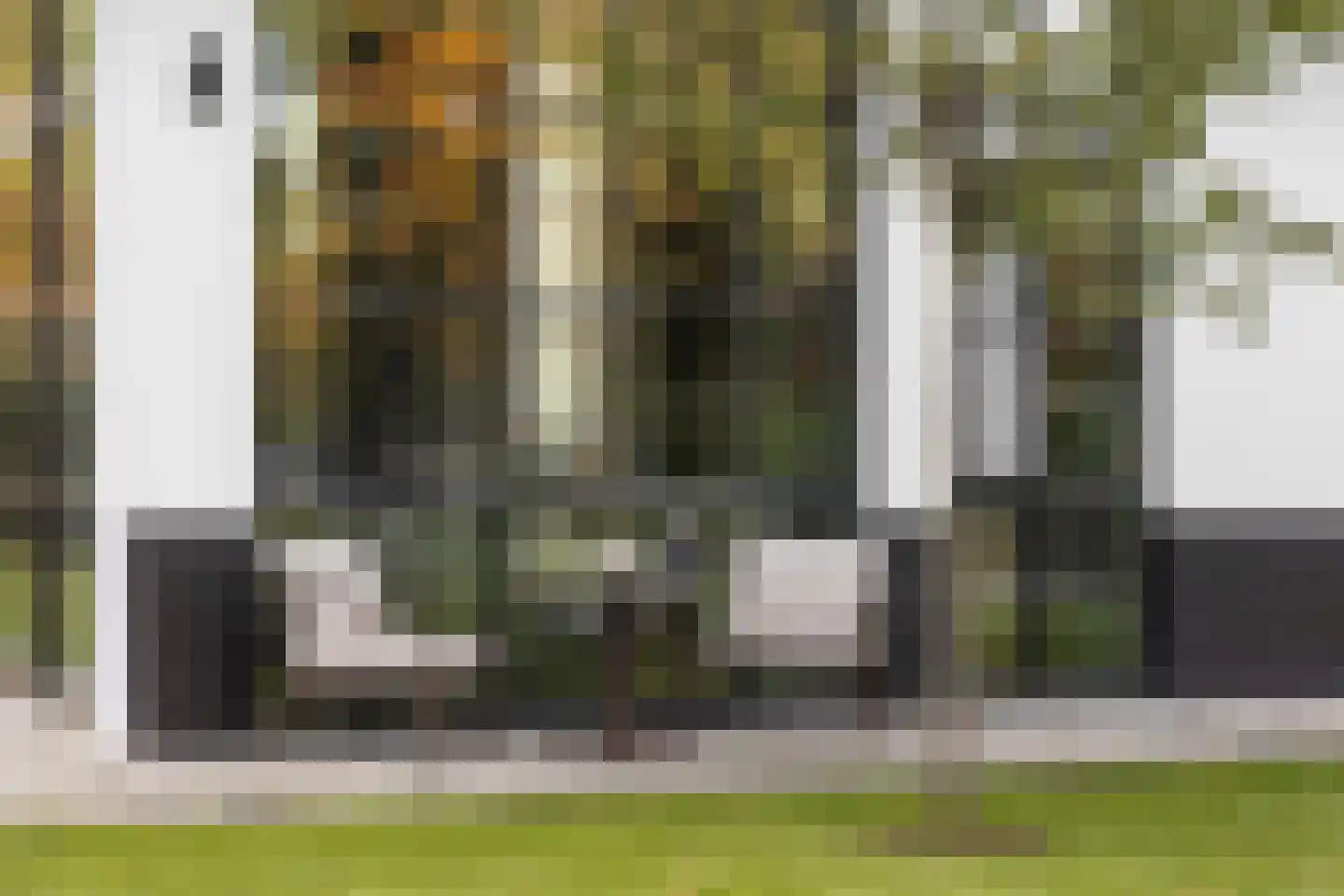 Wilhelminalaan 5 Oisterwijk thumbnail 56