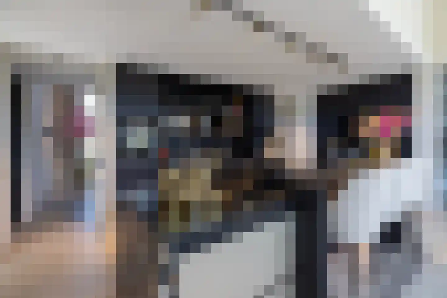 Wilhelminalaan 5 Oisterwijk thumbnail 9