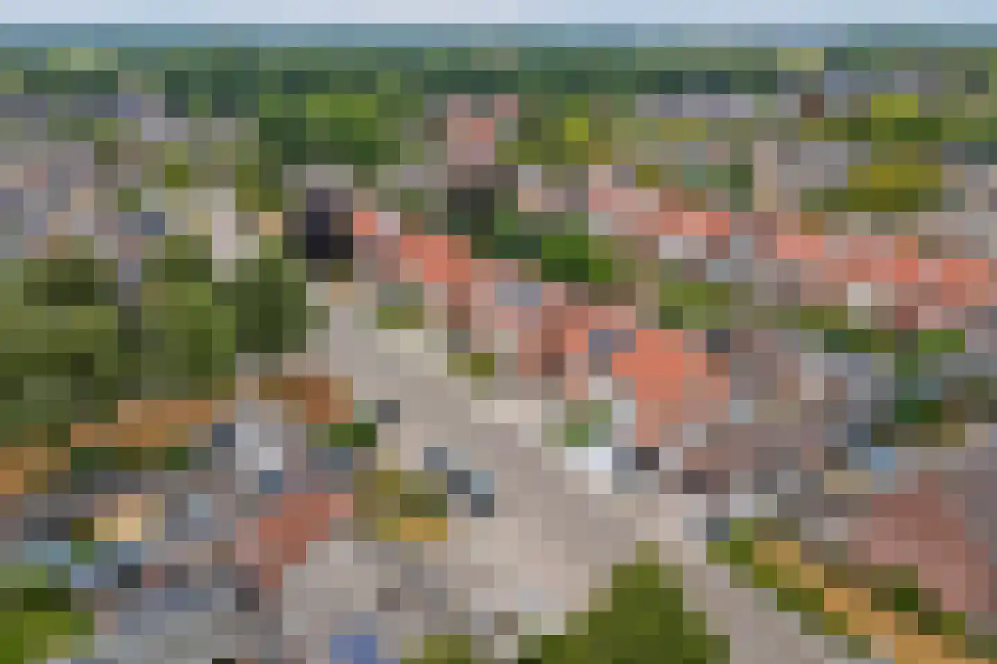 Wilhelminalaan 51 Bladel thumbnail 52