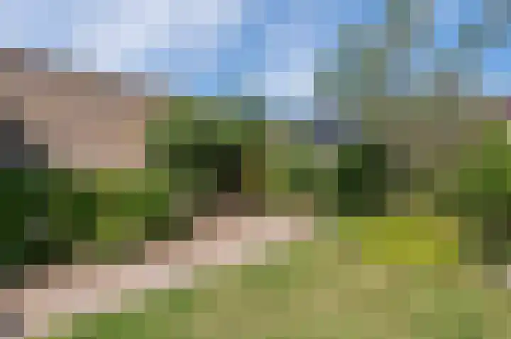 Wilhelminalaan 51 Echt thumbnail 21