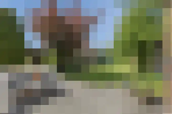 Wilhelminalaan 52 Bedum thumbnail 37