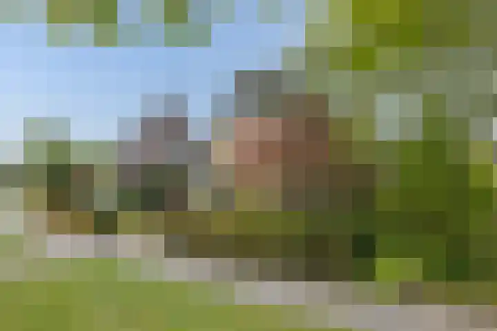Wilhelminalaan 52 Bedum thumbnail 5