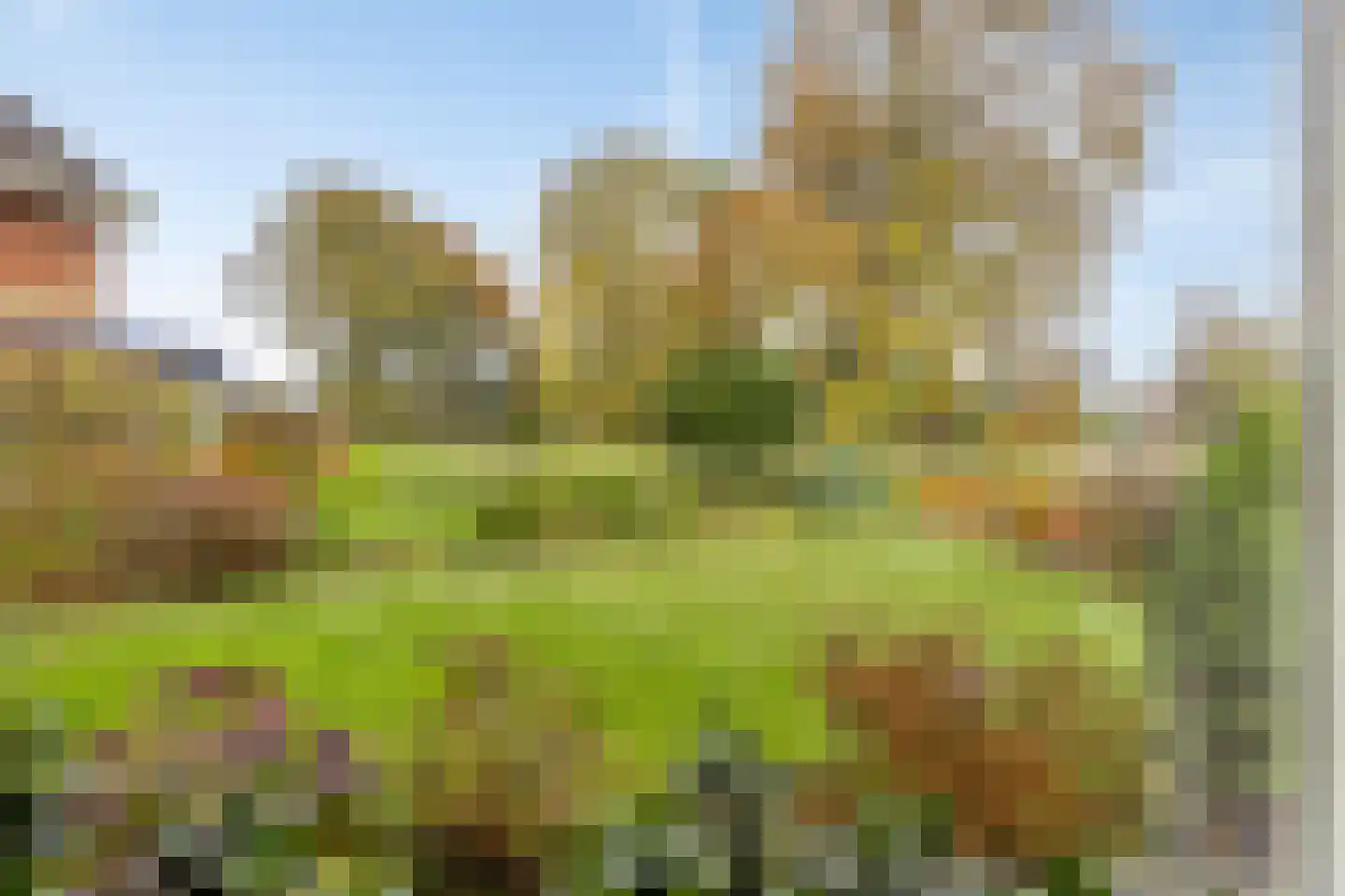 Wilhelminalaan 55 Heerde thumbnail 6
