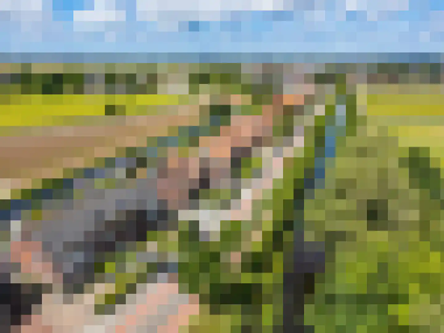 Wilhelminalaan 55 Hillegom thumbnail 40