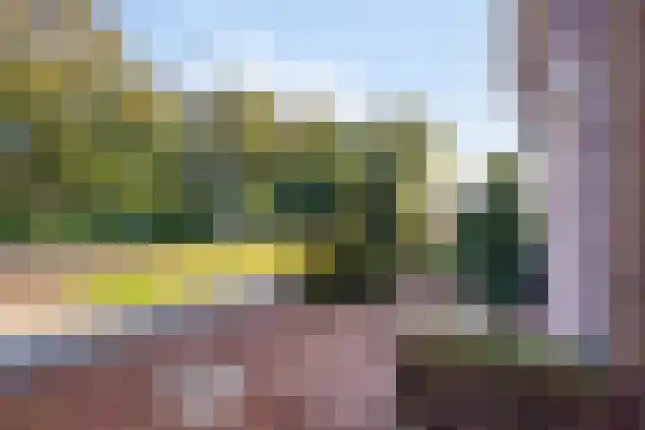 Wilhelminalaan 58 Purmerend thumbnail 10