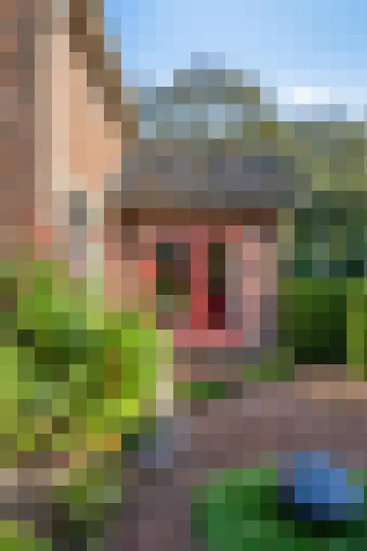 Wilhelminalaan 58 Purmerend thumbnail 48
