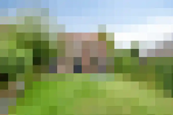 Wilhelminalaan 6 Aarle-Rixtel thumbnail 30