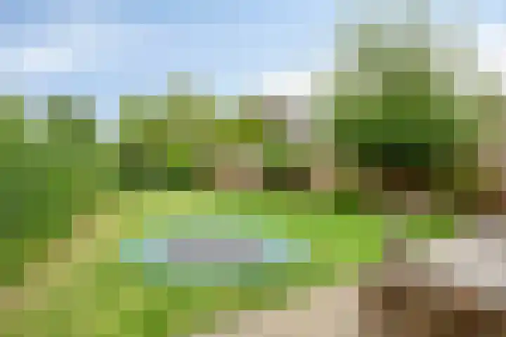Wilhelminalaan 6 Aarle-Rixtel thumbnail 31