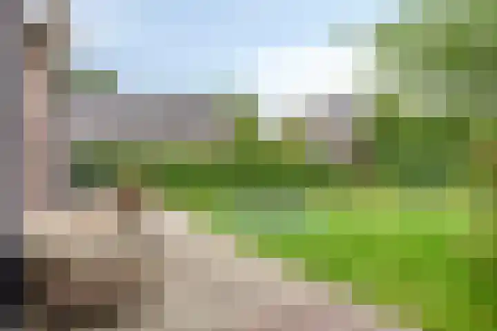 Wilhelminalaan 6 Aarle-Rixtel thumbnail 32
