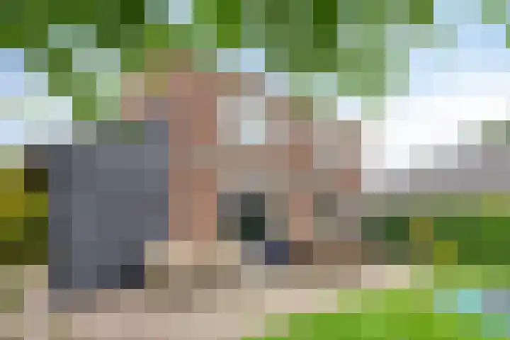 Wilhelminalaan 6 Aarle-Rixtel thumbnail 33