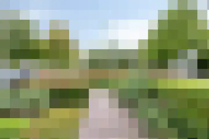 Wilhelminalaan 6 Aarle-Rixtel thumbnail 36