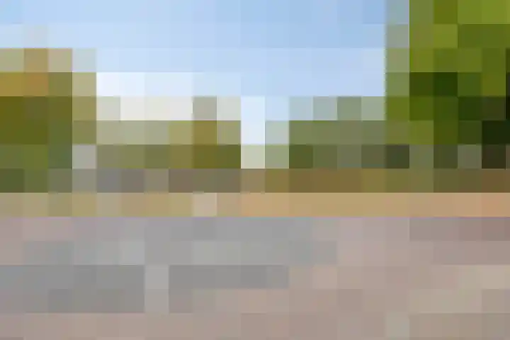 Wilhelminalaan 6 Aarle-Rixtel thumbnail 38