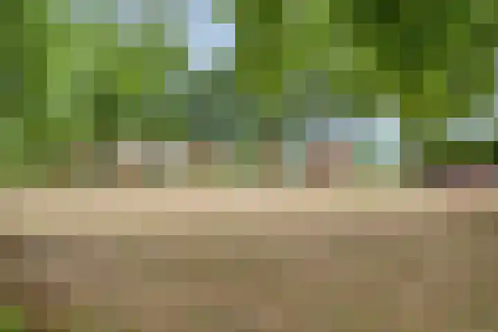 Wilhelminalaan 6 Aarle-Rixtel thumbnail 39