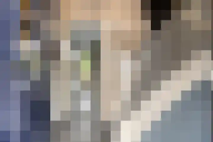 Wilhelminalaan 6 Aarle-Rixtel thumbnail 7