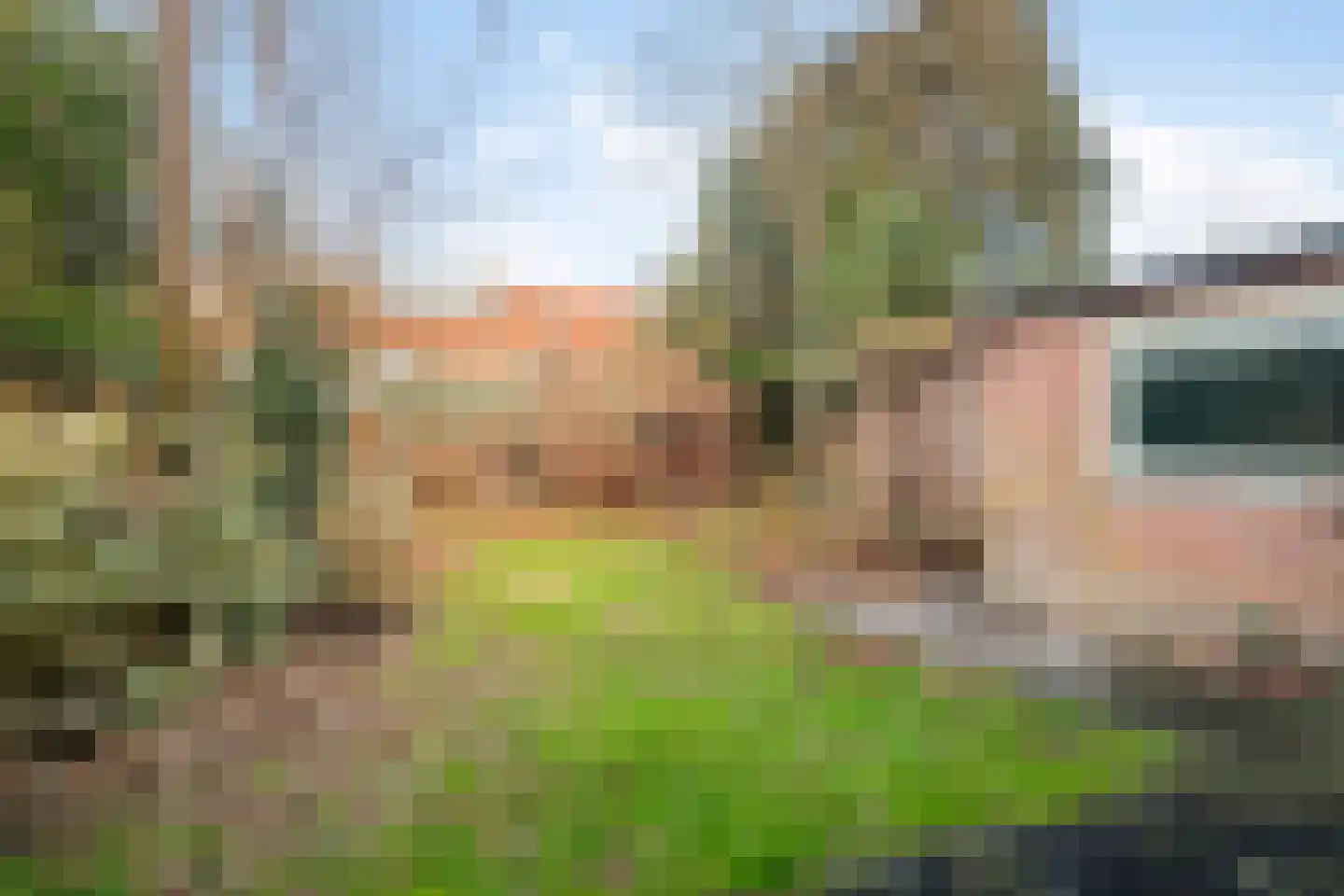 Wilhelminalaan 61 Bladel thumbnail 38