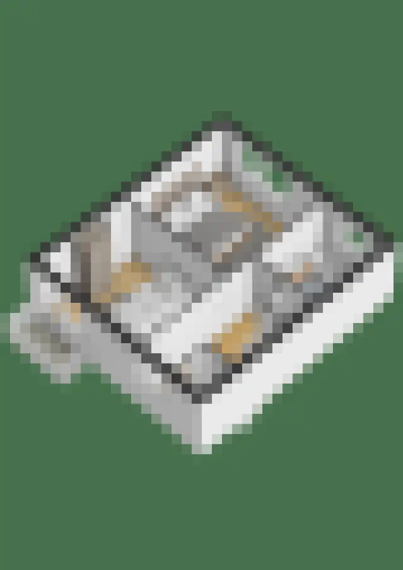 Wilhelminalaan 64 Etten-Leur thumbnail 43