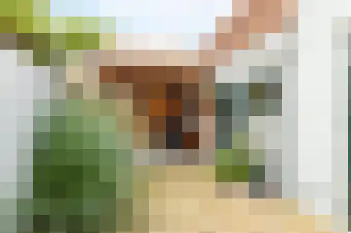Wilhelminalaan 64 Kampen thumbnail 27