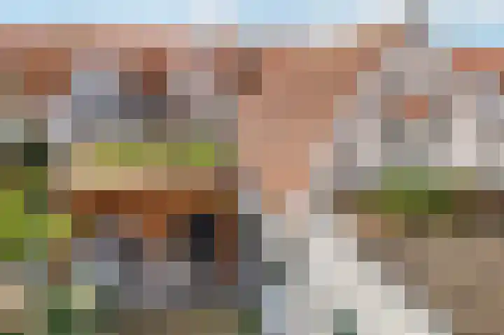 Wilhelminalaan 64 Kampen thumbnail 30