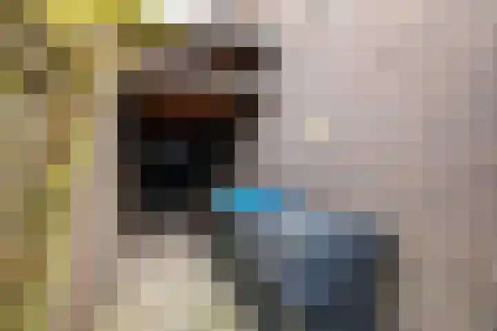 Wilhelminalaan 64 Kampen thumbnail 31