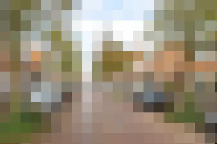 Wilhelminalaan 64 Kampen thumbnail 32