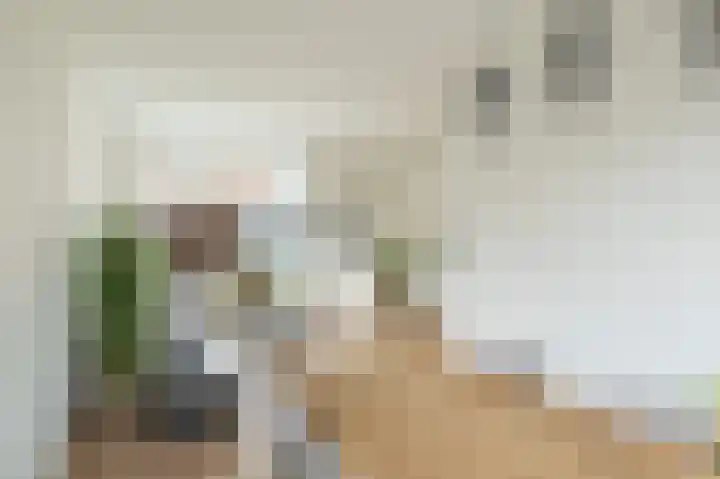 Wilhelminalaan 64 Kampen thumbnail 6