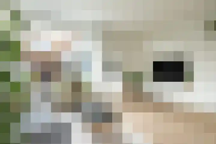 Wilhelminalaan 64 Kampen thumbnail 7
