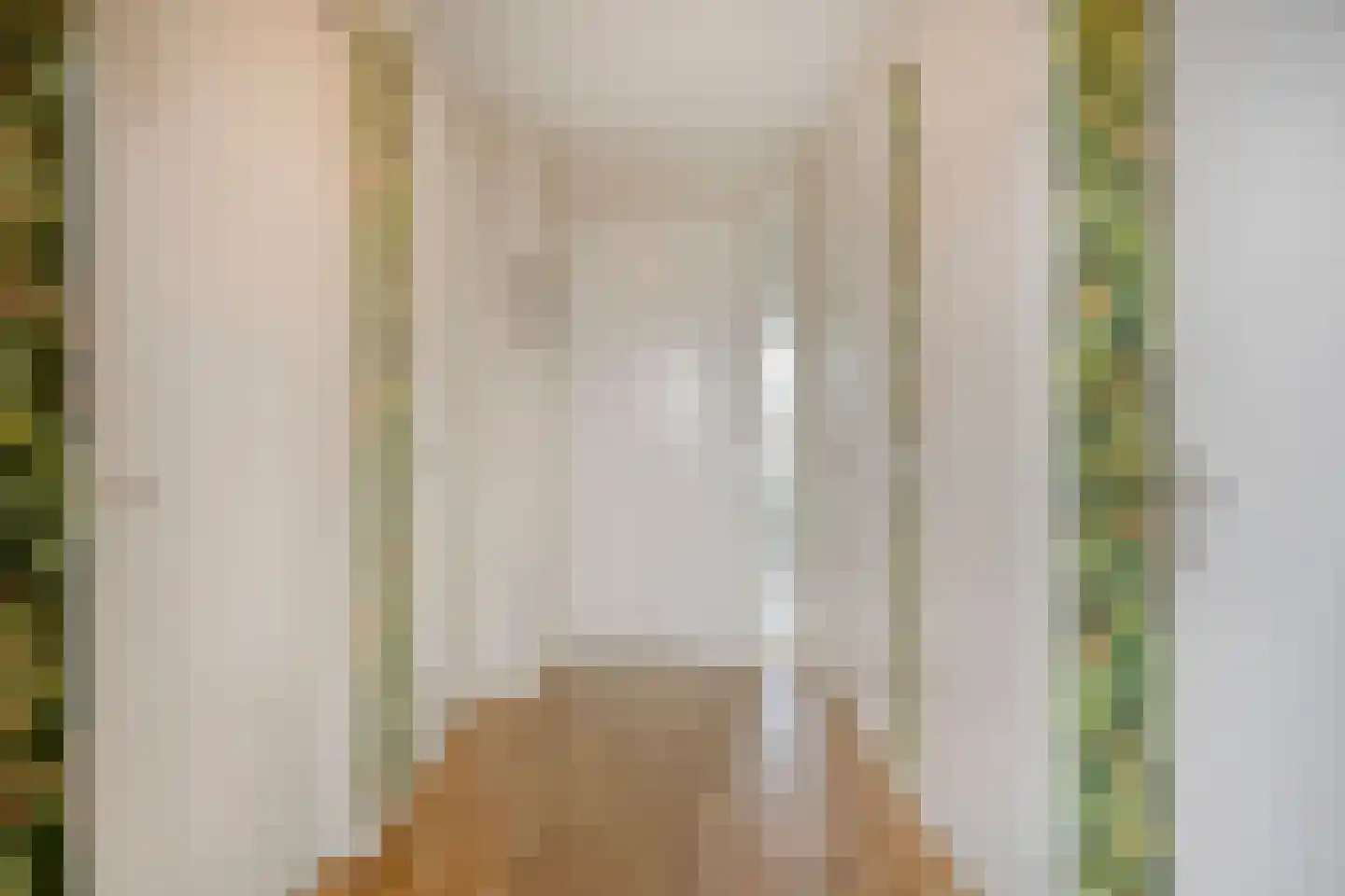 Wilhelminalaan 69 Brakel thumbnail 12