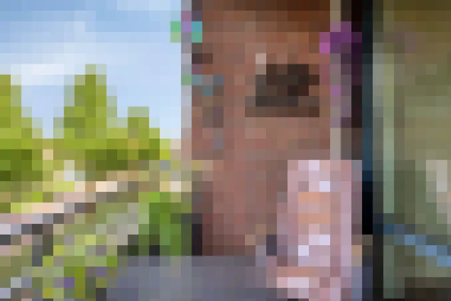 Wilhelminalaan 69 Brakel thumbnail 38