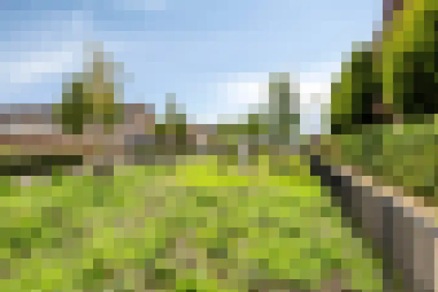 Wilhelminalaan 69 Brakel thumbnail 43